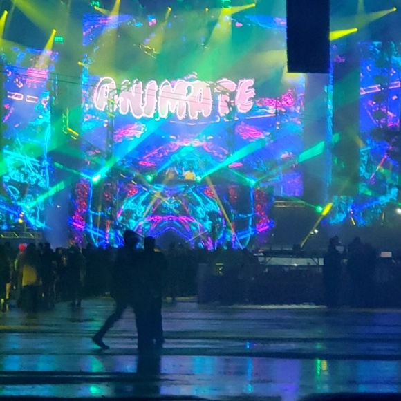 Meet your Posher, Rae - Picture 14 of 16